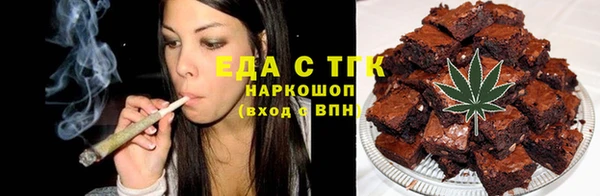 индика Абаза