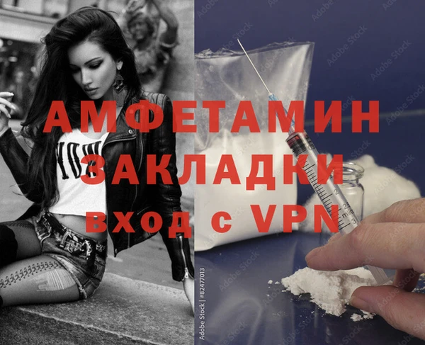 индика Абаза