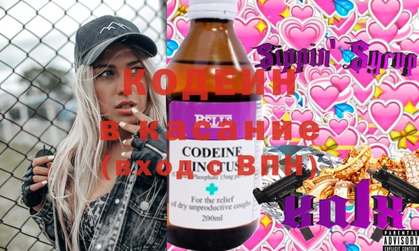 индика Абаза