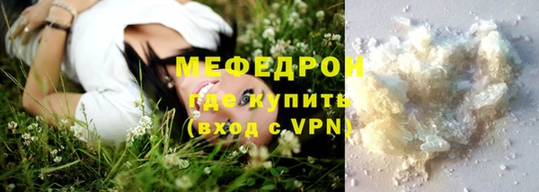 индика Абаза