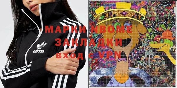 индика Абаза