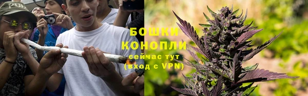 соль ск Алексеевка