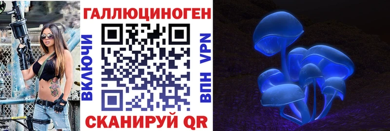 Галлюциногенные грибы Psilocybine cubensis  Зеленокумск 