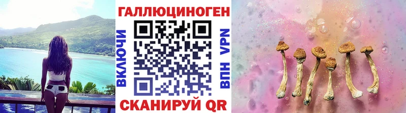 Галлюциногенные грибы Psilocybine cubensis Зеленокумск
